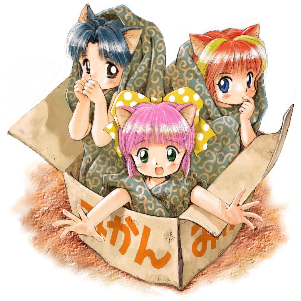 tsuzuki kazuhiko, mimi (hizapa), rena (hizapa), yuki (hizapa), byunbyun house, hiza no ue no partner, animal ears, black hair, blue eyes, bow, box, brown eyes, cardboard box, cat ears, child, green eyes, hair bow, in box, in container, mikan box, multicolored hair, orange hair, pink hair, polka dot, streaked hair, two-tone hair