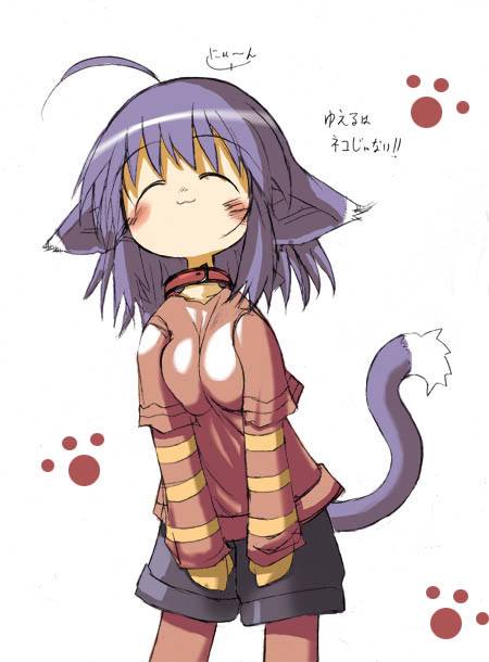 yuel (summon night), original, summon night, summon night 2, 1girl, :3, ahoge, animal ears, blush, cat ears, cat tail, closed eyes, collar, female focus, pantyhose, pantyhose under shorts, paw print, purple hair, shorts, solo, tail, white background