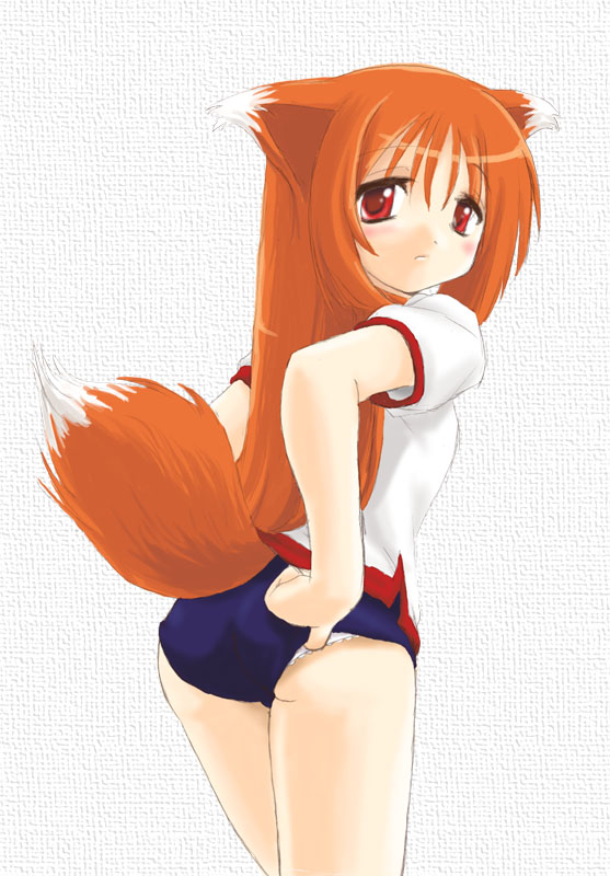 hana, hana (ukagaka), ukagaka, 1girl, adjusting buruma, adjusting clothes, animal ears, ass, buruma, female focus, fox ears, fox tail, gym uniform, looking back, panties, panty peek, solo, tail, underwear, white panties