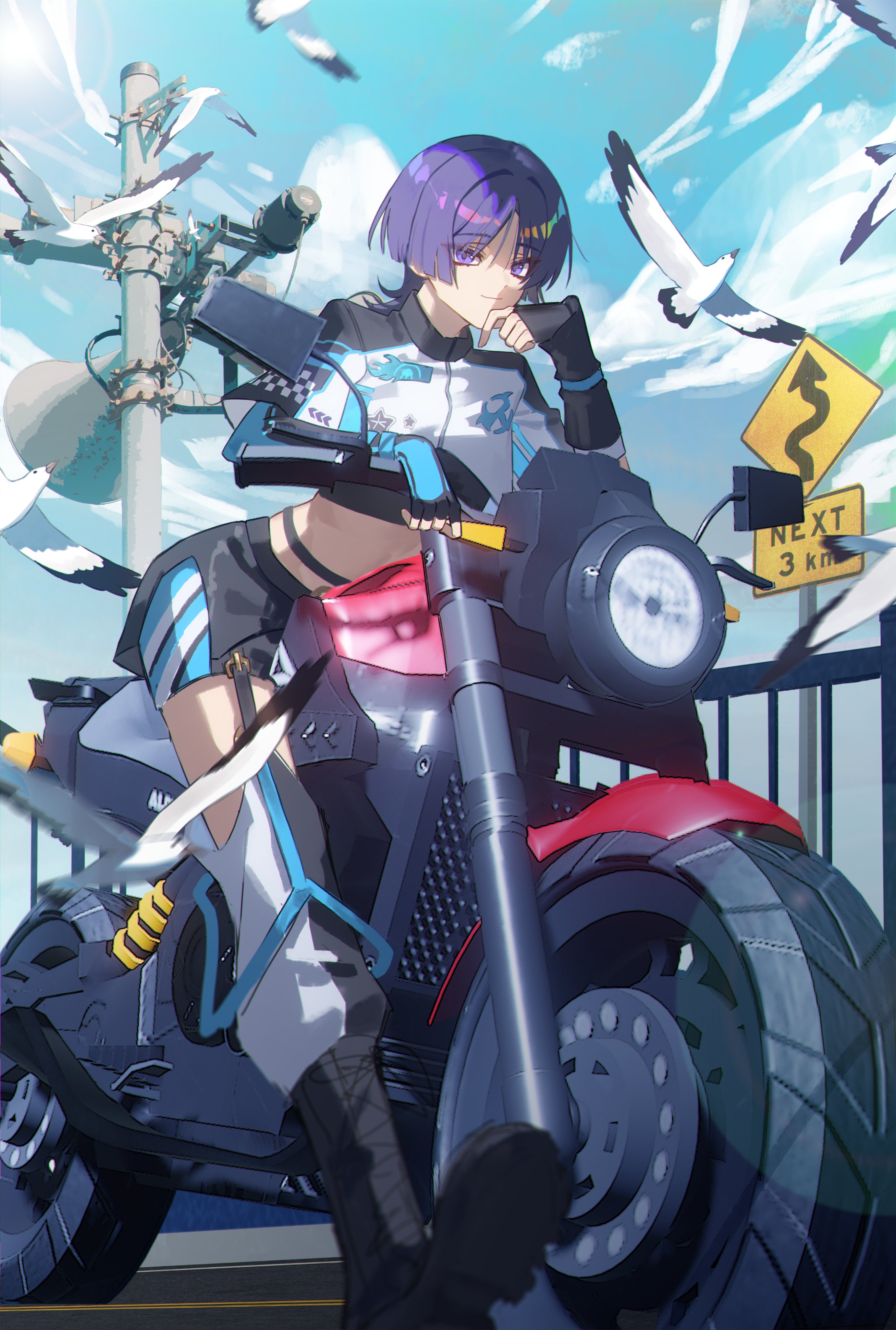 miaoyeza233, scaramouche (genshin impact), genshin impact, absurdres, highres, 1boy, alternate costume, belt, biker clothes, bird, black belt, black boots, black gloves, black pants, blue sky, blunt ends, boots, closed mouth, cloud, cloudy sky, contemporary, crop top, cropped jacket, detached pants, elbow gloves, fingerless gloves, gloves, horn speaker, jacket, lace-up boots, male focus, midriff, mitsudomoe (shape), motor vehicle, motorcycle, on motorcycle, pants, parted bangs, purple eyes, purple hair, railing, road sign, seagull, sign, sky, smile, solo, tomoe (symbol), tsurime, two-tone pants, utility pole, white jacket, white pants