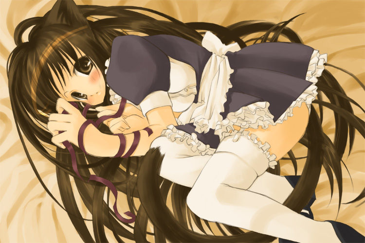 g munyo, 1girl, animal ears, brown eyes, brown hair, cat ears, cat tail, female focus, frilled thighhighs, frills, garter belt, lingerie, long hair, maid, petticoat, ribbon, solo, tail, thighhighs, underwear, very long hair, white thighhighs