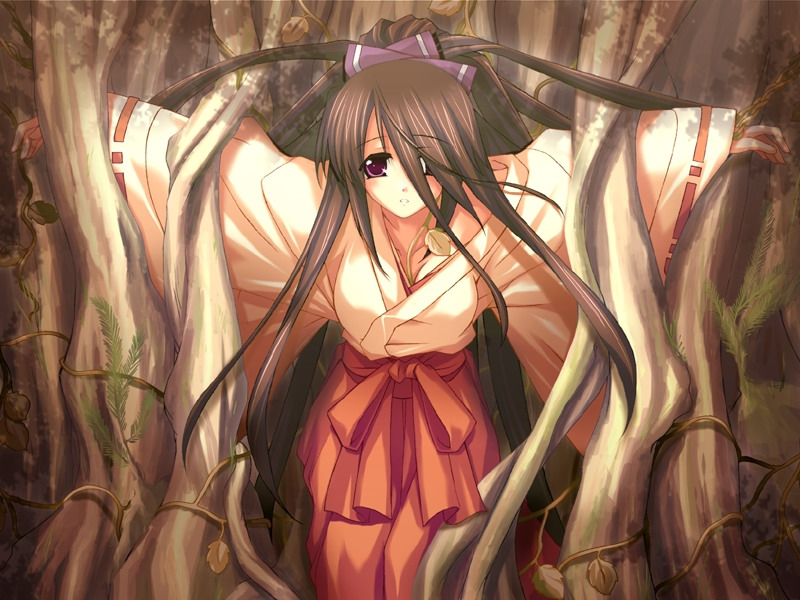 nanao naru, konomiya tamaki, da capo, da capo i, game cg, 00s, 1girl, brown hair, female focus, hakama, hakama skirt, in tree, japanese clothes, long hair, miko, purple eyes, red hakama, restrained, skirt, solo, tied up (nonsexual), tree, very long hair