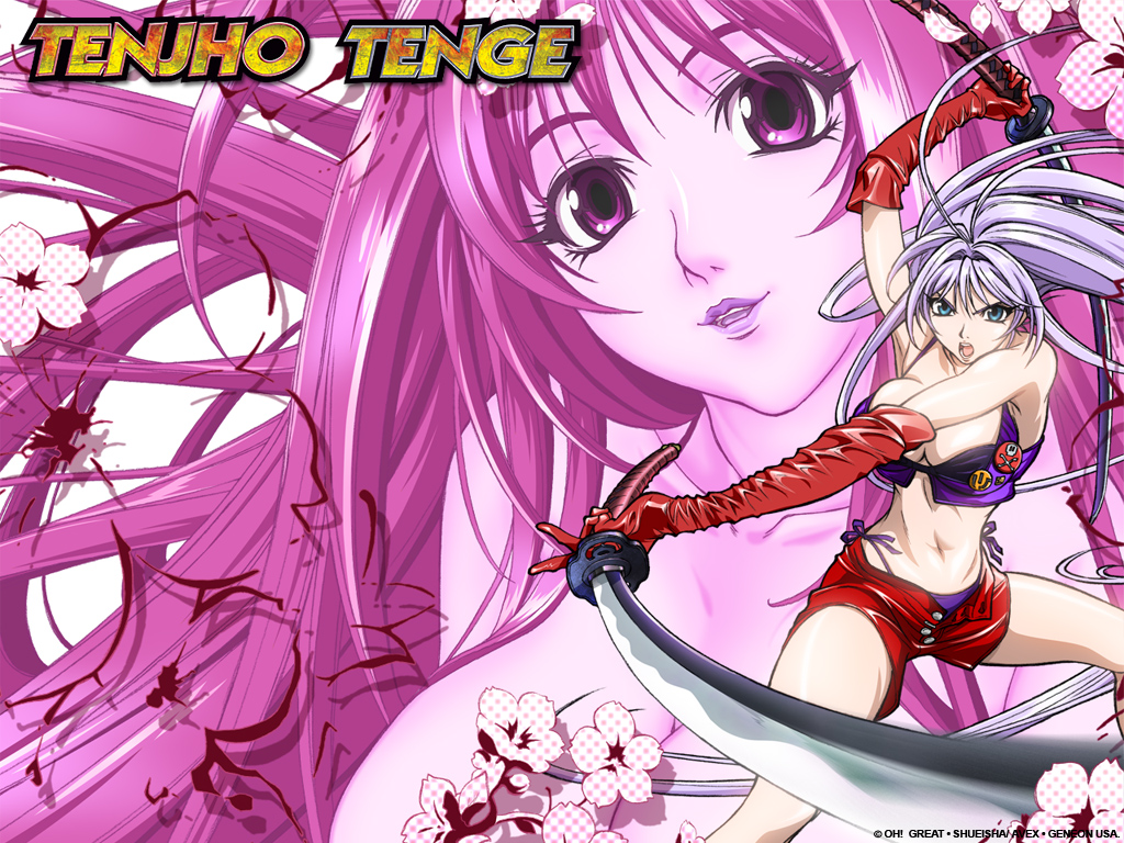 natsume aya, natsume maya, tenjou tenge, 2girls, antenna hair, arm up, armpits, blood, blue eyes, breasts, cleavage, crop top, elbow gloves, fighting stance, flower, gloves, large breasts, lips, long hair, midriff, multiple girls, open fly, open mouth, panties, purple hair, purple panties, red gloves, short shorts, shorts, sword, underwear, unzipped, very long hair, weapon