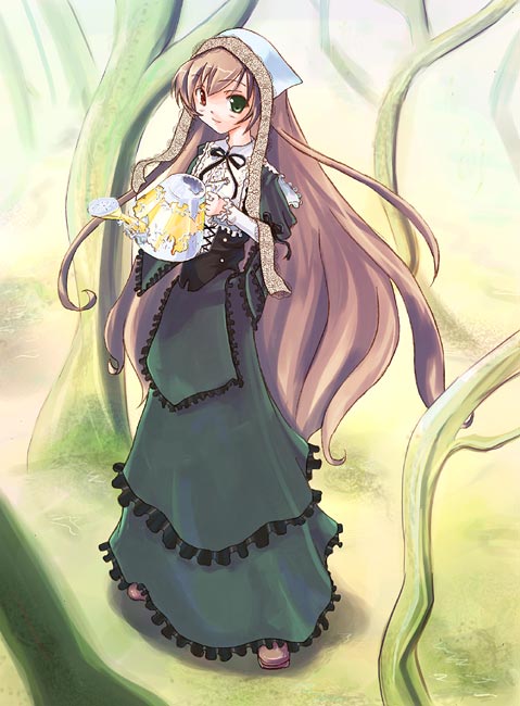 suiseiseki, rozen maiden, 00s, 1girl, bonnet, brown hair, doll, dress, female focus, frills, green dress, green eyes, headdress, headscarf, heterochromia, light smile, long hair, red eyes, shoes, solo, very long hair, watering can, white headscarf