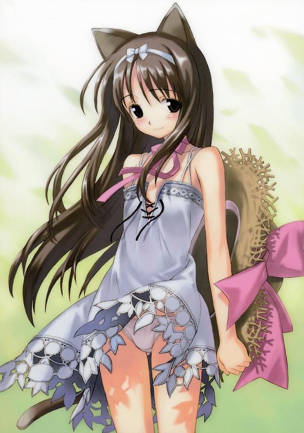 matsuryuu, original, jpeg artifacts, 1girl, animal ears, brown eyes, brown hair, cat ears, cat tail, dress, female focus, hairband, hat, hat ribbon, loli, long hair, panties, phonecard, ribbon, smile, solo, straw hat, tail, underwear, very long hair, wind, wind lift