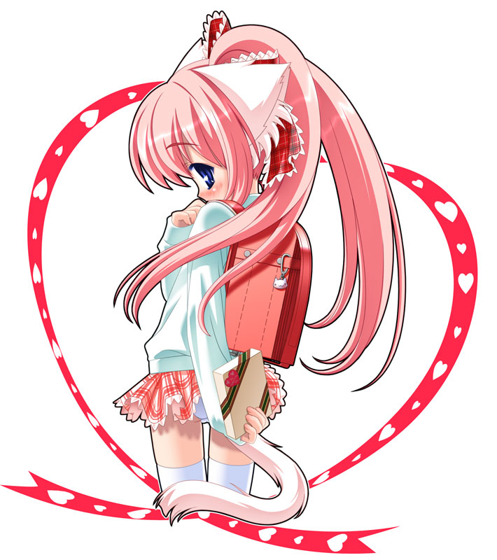suzu kazumi, 1girl, animal ears, backpack, bag, blush, cat ears, cat tail, female focus, looking back, miniskirt, panties, pantyshot, plaid clothes, plaid skirt, randoseru, skirt, solo, standing, sweater, tail, thigh gap, thighhighs, thighs, underwear, upskirt, valentine, white background, white panties, white thighhighs, zettai ryouiki