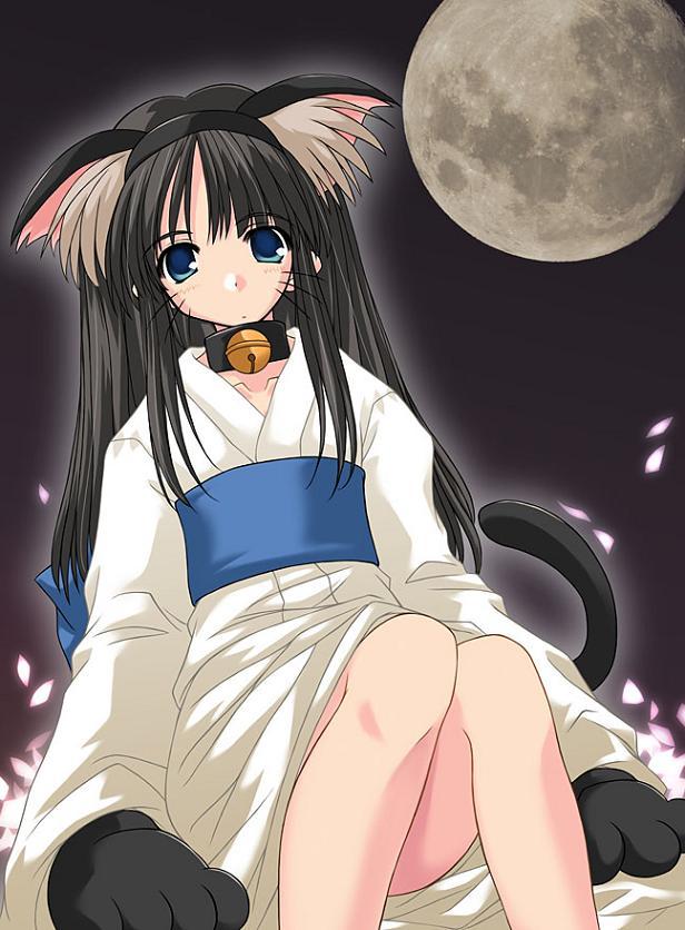 naipeta, tohno akiha, tsukihime, jpeg artifacts, 00s, 1girl, animal ear fluff, animal ears, animal hands, bell, black hair, blue eyes, cat ears, cat tail, collar, female focus, full moon, gloves, japanese clothes, jingle bell, looking at viewer, moon, neck bell, paw gloves, petals, solo, tail, whiskers
