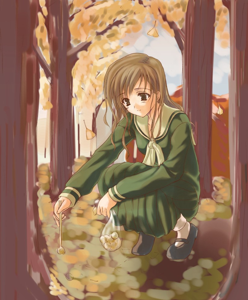 asaga aoi, toudou shimako, maria-sama ga miteru, 00s, 1girl, brown eyes, brown hair, day, dress, female focus, forest, ginkgo tree, green dress, long hair, nature, school uniform, shoes, smile, socks, solo, squatting