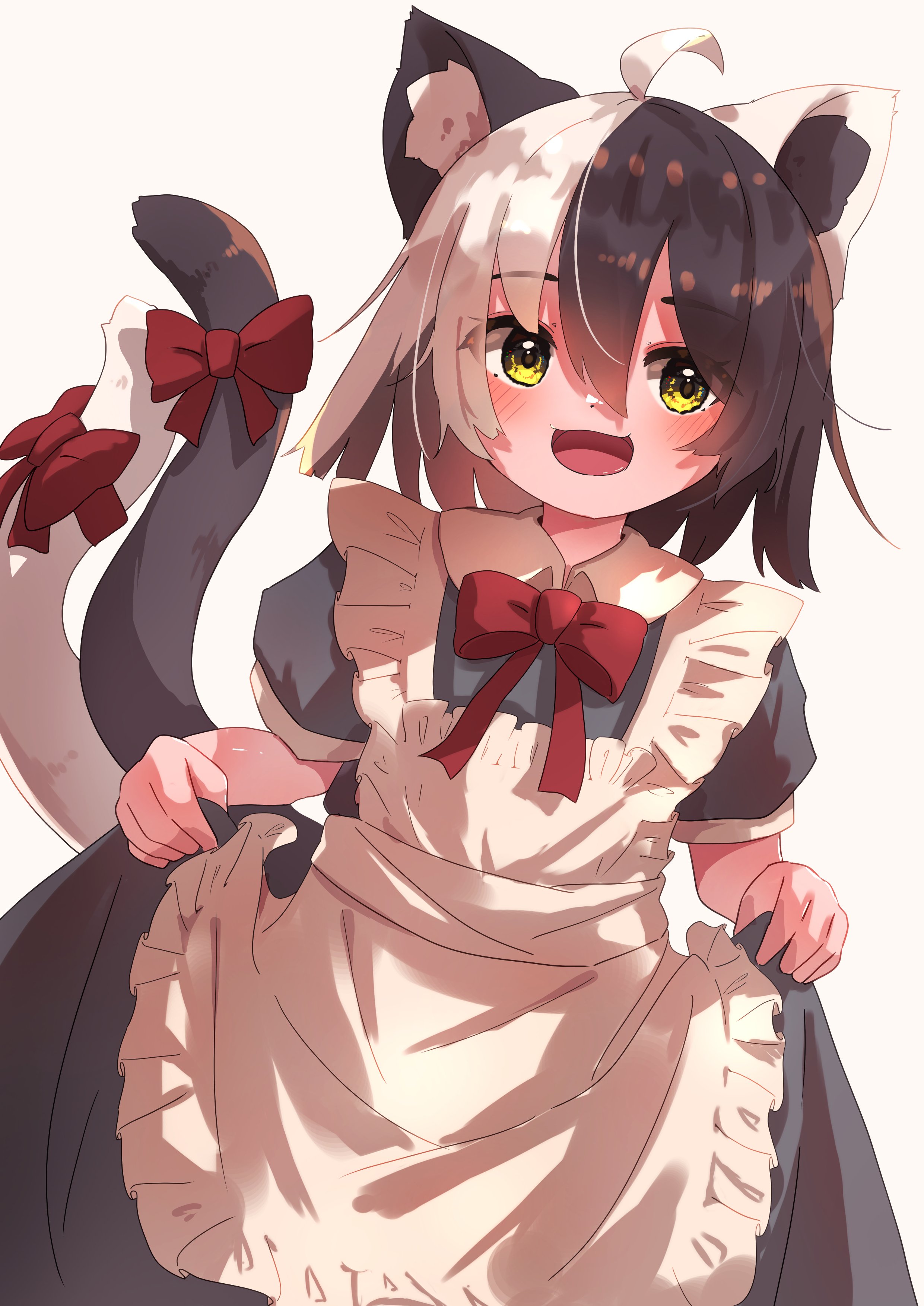 kotatsune, original, absurdres, highres, 1girl, :d, animal ears, apron, black hair, bow, bowtie, cat ears, cat girl, cat tail, dress, grey dress, looking at viewer, maid apron, multicolored hair, multiple tails, open mouth, puffy short sleeves, puffy sleeves, red bow, red bowtie, short hair, short sleeves, simple background, skirt hold, smile, tail, two-tone hair, two tails, white apron, white background, white hair, yellow eyes