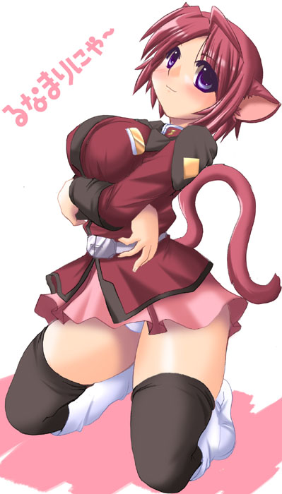 tonpuu, lunamaria hawke, gundam, gundam seed, gundam seed destiny, 00s, 1girl, animal ears, boots, breasts, cat ears, cat tail, curvy, female focus, knee boots, kneeling, large breasts, panties, pantyshot, solo, tail, thighhighs, underwear