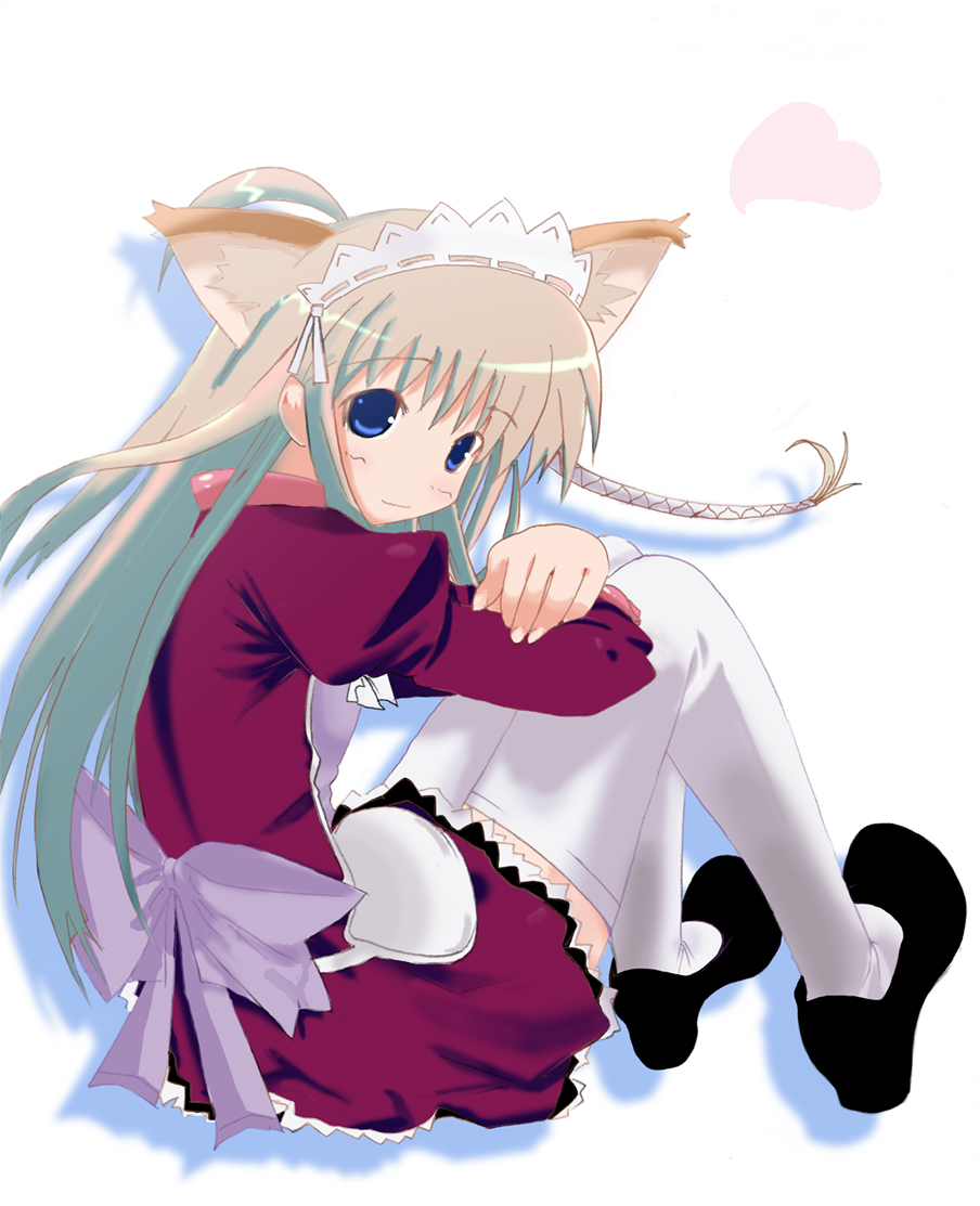 kimura (kimidoriiro), 1girl, ahoge, animal ears, blue eyes, bonnet, cat ears, female focus, long hair, maid, maid headdress, solo, thighhighs, white thighhighs, zettai ryouiki