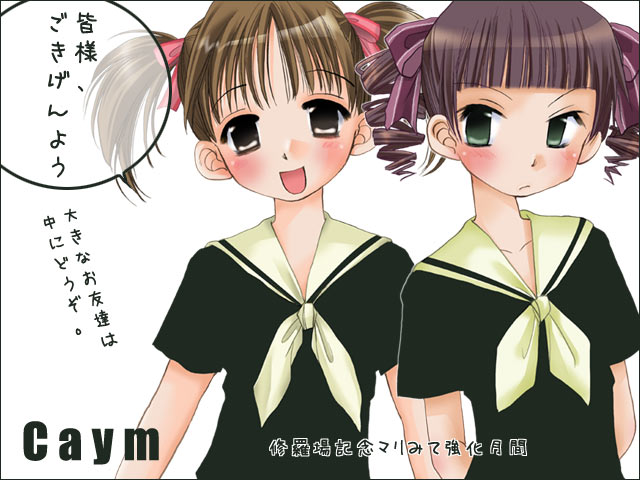 fukuzawa yumi, matsudaira touko, maria-sama ga miteru, translation request, 00s, 2girls, black hair, blush, brown hair, drill hair, frown, green eyes, hair ribbon, multiple girls, ribbon, school uniform, serafuku, short hair, short twintails, text focus, twin drills, twintails