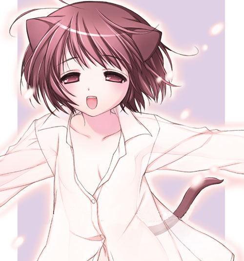 original, jpeg artifacts, 1girl, animal ears, blouse, cat ears, cat girl, female focus, loli, looking at viewer, open clothes, open shirt, see-through clothes, shirt, solo, upper body