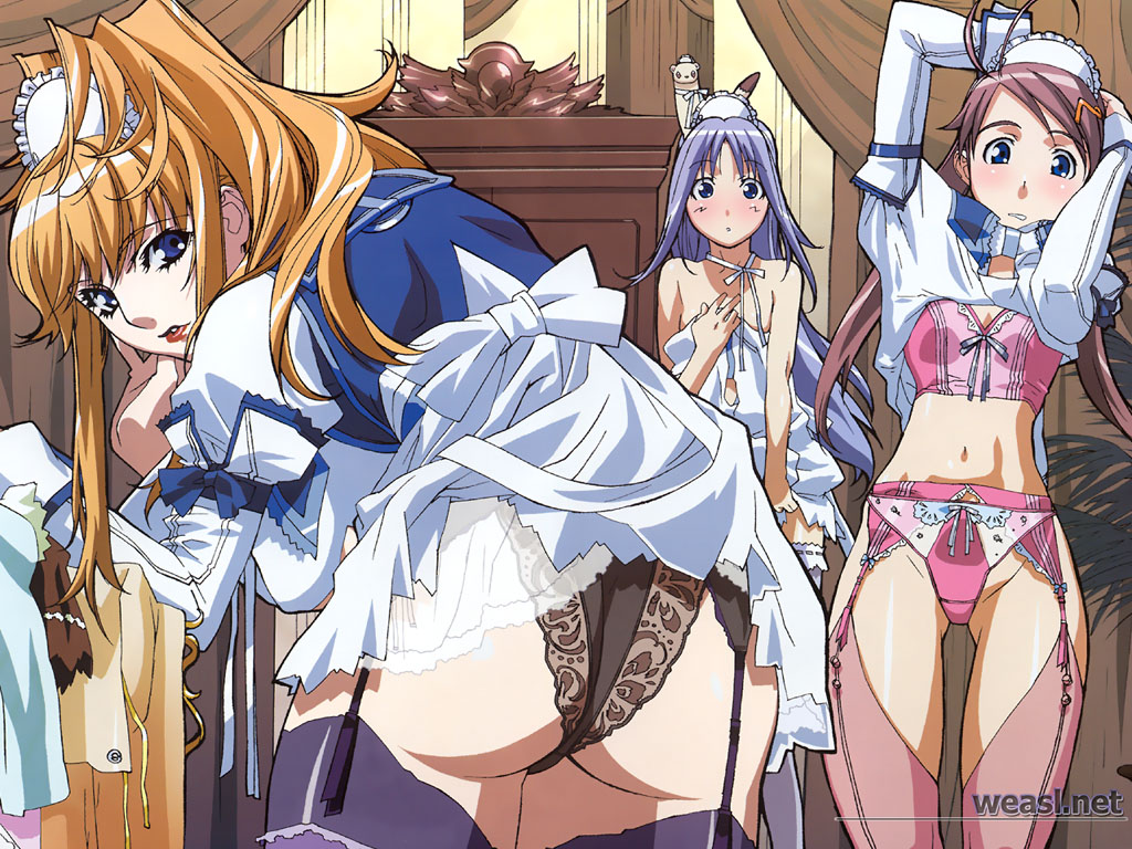 ebata risa, uno makoto, gusuku luna, gusuku runa, leele, lolotte, tachibana mizuki, choujuushin gravion, choujuushin gravion zwei, grey legwear, official art, official wallpaper, 00s, 3girls, :o, age difference, animal, animal on head, antenna hair, arm support, arms up, ass, bare shoulders, bent over, black panties, black thighhighs, blue eyes, blue hair, blue thighhighs, blush, bow, bow panties, bra, breasts, bustier, choker, clenched teeth, clothes lift, curtains, curvy, dress, dress lift, embarrassed, female focus, ferret, frills, from behind, front-seamed legwear, garter belt, garter straps, hair ornament, hairclip, hand on own chest, hand on own face, hands on own head, huge ass, indoors, lace, lace-trimmed panties, lace trim, lingerie, lipstick, long hair, looking at viewer, looking back, maid, maid headdress, makeup, mature female, multiple girls, navel, on head, orange hair, panties, pantyshot, parted bangs, parted lips, pink panties, pink thighhighs, plant, potted plant, purple hair, ribbon, ribbon choker, seamed legwear, see-through clothes, short dress, sidelocks, sleeve cuffs, small breasts, standing, surprised, swept bangs, teeth, thighhighs, twintails, underwear, undressing, watermark, zettai ryouiki