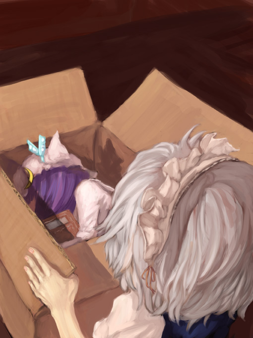 binayu, izayoi sakuya, patchouli knowledge, touhou, silver hair, 2girls, book, box, brown background, cardboard box, crescent, crescent hair ornament, female focus, hair ornament, hat, in box, in container, lying, maid headdress, multiple girls, on side, purple hair, simple background