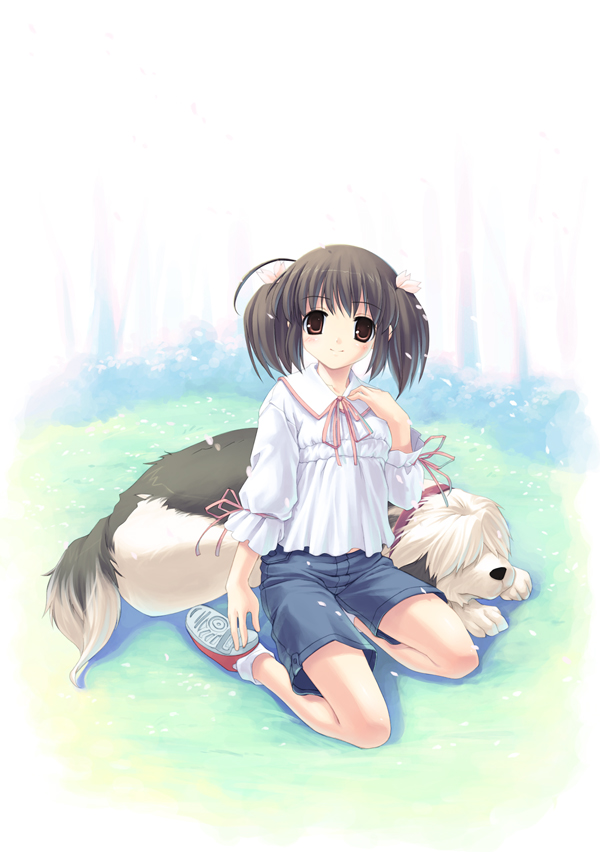 hiiro yuki, genjimaru, yuzuhara konomi, to heart (series), to heart 2, 00s, 1girl, black eyes, brown hair, dog, female focus, old english sheepdog, shoes, shorts, sitting, smile, sneakers, solo