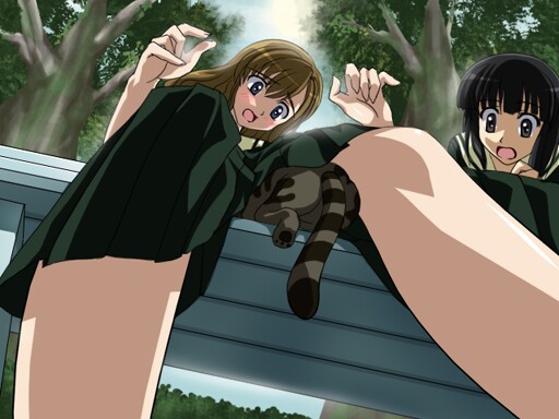 sanshita, nijou noriko, toudou shimako, maria-sama ga miteru, 00s, 2girls, animal, black hair, blunt bangs, blush, brown hair, cat, embarrassed, foreshortening, long sleeves, multiple girls, open mouth, school uniform, serafuku, skirt, surprised