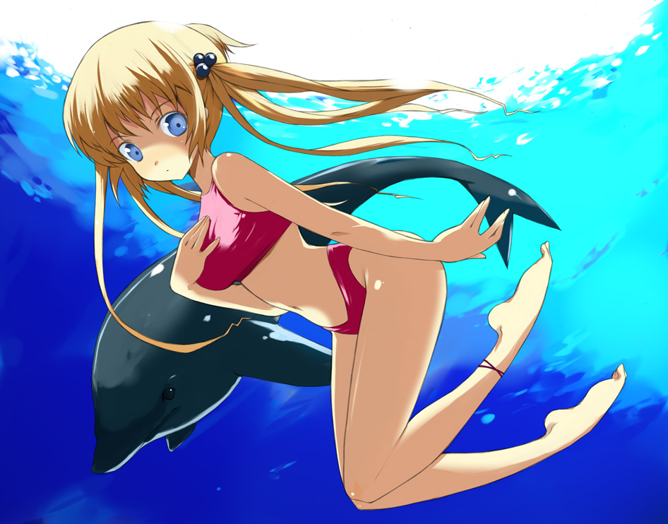 shijou sadafumi, original, 1girl, anklet, bikini, blonde hair, blue background, blue eyes, dolphin, female focus, hair bobbles, hair ornament, highleg, highleg bikini, jewelry, long hair, navel, red bikini, solo, sports bikini, swimsuit, tankini, twintails, underwater