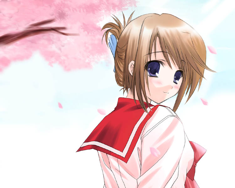 hayashi sakura, komaki manaka, to heart (series), to heart 2, 00s, 1girl, blue eyes, blush, brown hair, cherry blossoms, female focus, folded ponytail, from behind, hair up, looking at viewer, looking back, outdoors, petals, school uniform, serafuku, smile, solo, tree