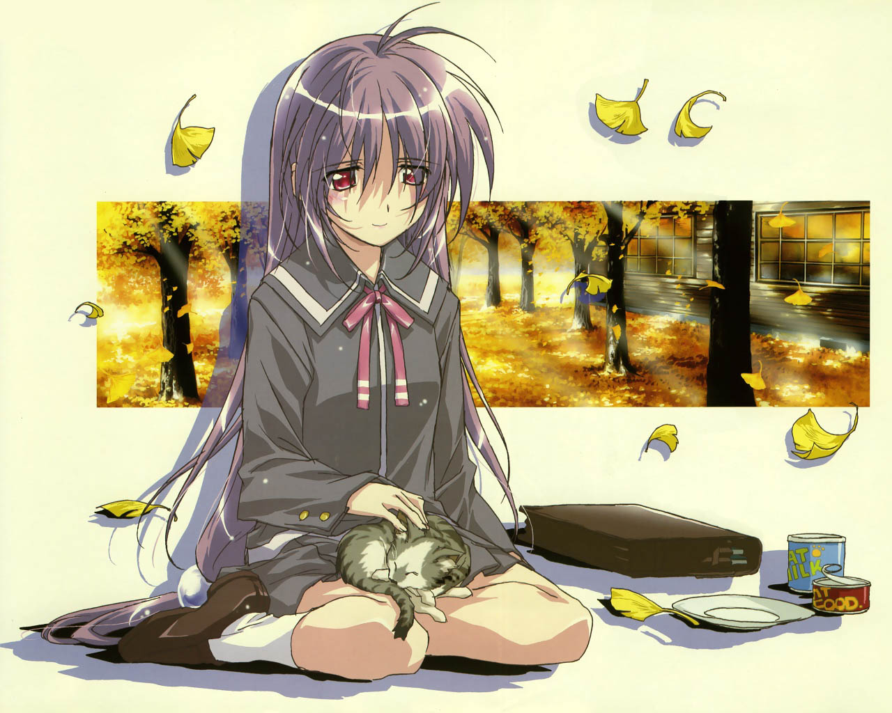 kurashima tomoyasu, iriya kana, iriya no sora ufo no natsu, 00s, 1girl, animal, animal on lap, antenna hair, bag, blush, briefcase, can, cat, cat on lap, female focus, ginkgo tree, headpat, iriya, leaf, long hair, long sleeves, low-tied long hair, on lap, pink eyes, plate, pleated skirt, purple hair, school bag, school briefcase, school uniform, serafuku, sitting, sitting on lap, sitting on person, skirt, smile, socks, solo, tree, very long hair, wariza