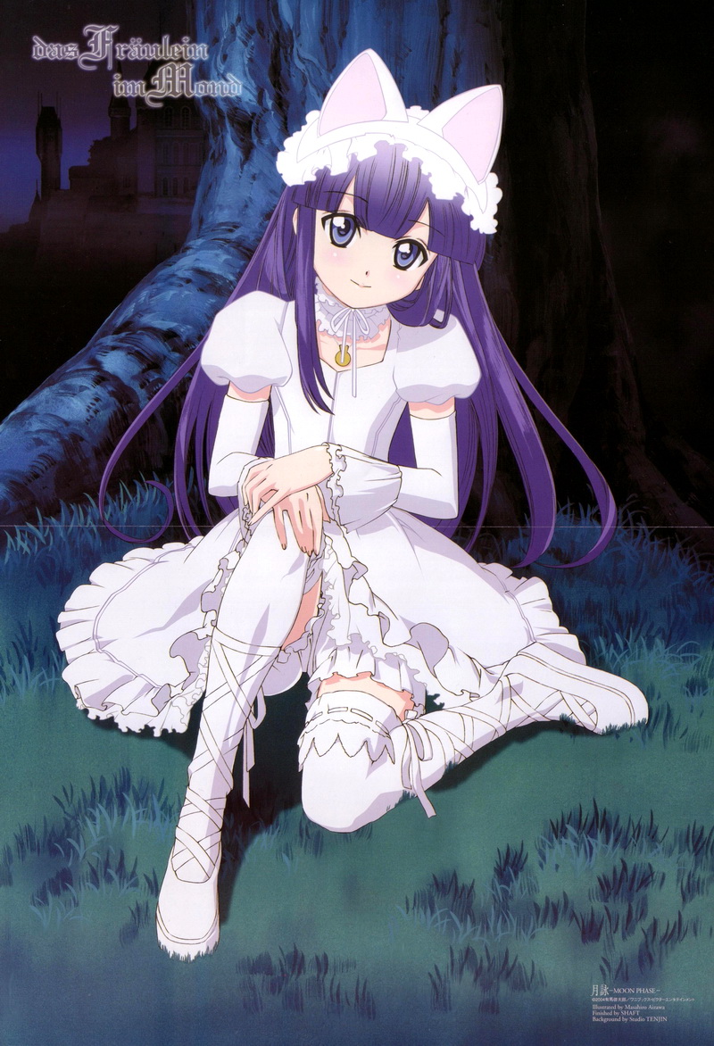 aizawa masahiro, hazuki (tsukuyomi), tsukuyomi moonphase, translated, 00s, 1girl, animal ears, artist name, blue eyes, cat ears, choker, copyright name, detached sleeves, female focus, german text, grass, long hair, night, outdoors, purple hair, ribbon, ribbon-trimmed legwear, ribbon trim, sitting, smile, solo, thighhighs, tree, under tree, white thighhighs, zettai ryouiki