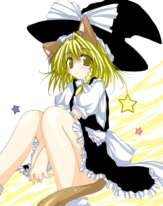 yumesato makura, kirisame marisa, touhou, 1girl, animal ears, blonde hair, blush, braid, cat ears, cat girl, cat tail, dress, female focus, hair ribbon, hat, kemonomimi mode, ribbon, single braid, solo, star (symbol), tail, tress ribbon, witch hat, yellow eyes