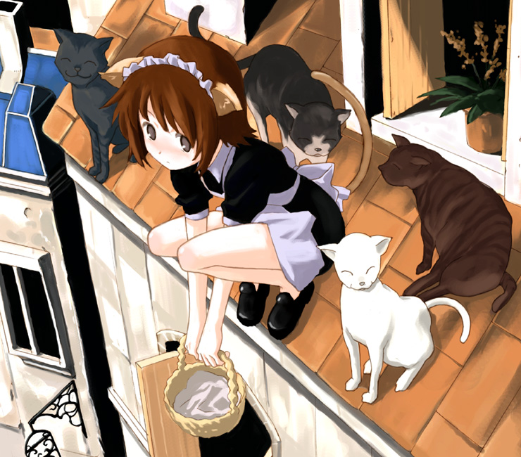 rato, original, 1girl, :3, animal, animal ears, basket, black shoes, brown hair, cat, cat ears, cat girl, cat tail, closed mouth, female focus, flower, flower pot, green flower, holding, maid, maid headdress, rooftop, shoes, solo, squatting, tail