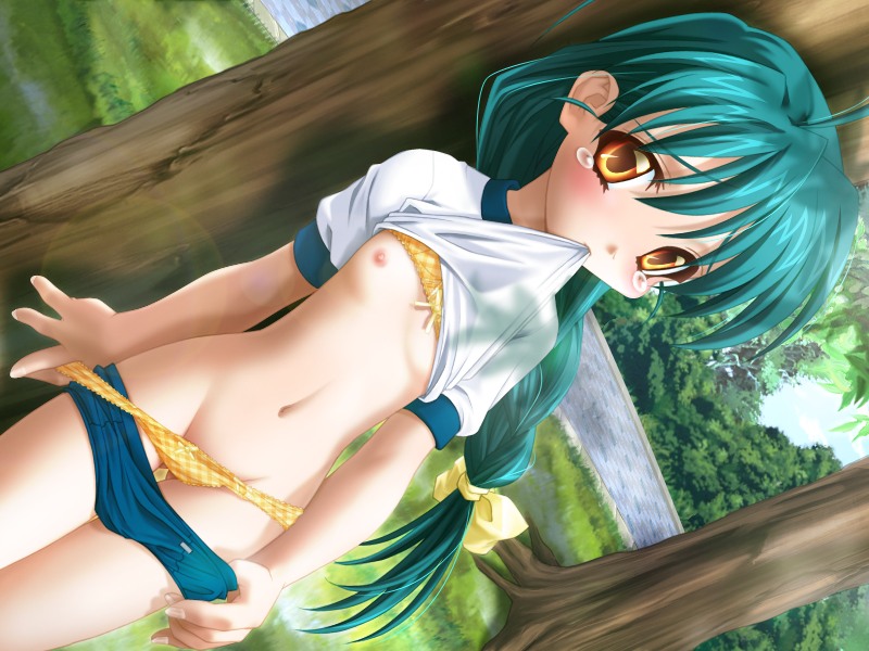 ishihara masumi, sachiusu misao, kuro mahou shoujo sadistic youko, game cg, 1girl, ahoge, blue buruma, blush, bow, bow bra, bow panties, bra, buruma, buruma pull, clothes lift, clothes pull, cloud, embarrassed, flat chest, grass, green hair, gym uniform, hair ribbon, lens flare, loli, long hair, looking at viewer, navel, nipples, panties, panty pull, plaid bra, plaid clothes, plaid panties, ponytail, ribbon, shirt, shirt lift, short sleeves, sky, standing, tears, tree, underwear, undressing, white shirt, yellow bow, yellow bra, yellow eyes, yellow panties, yellow ribbon