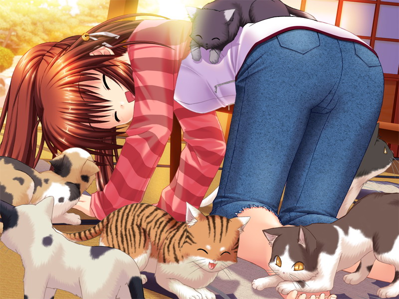 na-ga, natsume rin, little busters!, game cg, 1girl, all fours, barefoot, bell, bent over, brown hair, cat, female focus, happy, ponytail, solo, too many, too many cats