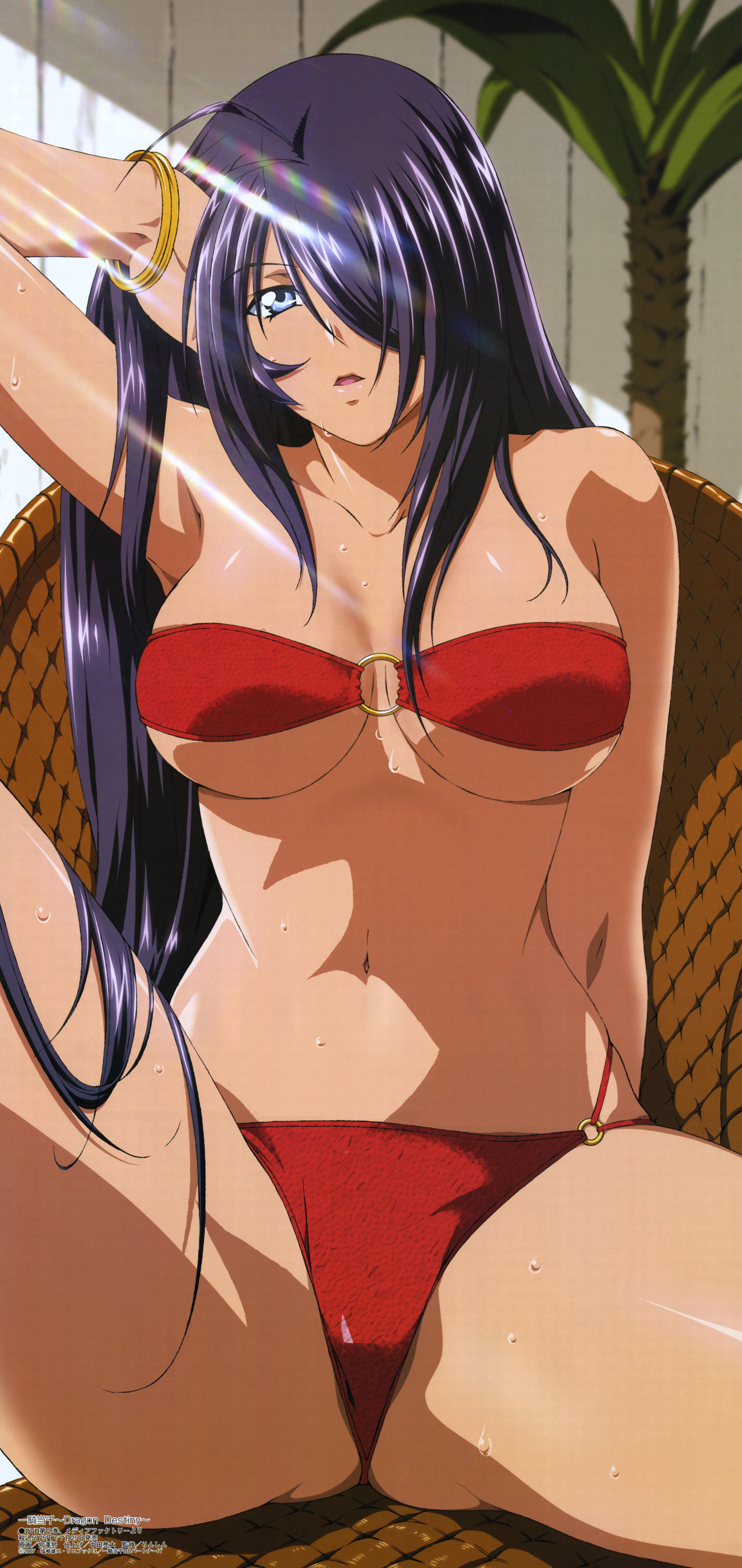 kan'u unchou, ikkitousen, ikkitousen dragon destiny, absurdres, highres, scan, 00s, bikini, black hair, blue eyes, dark skin, purple hair, swimsuit