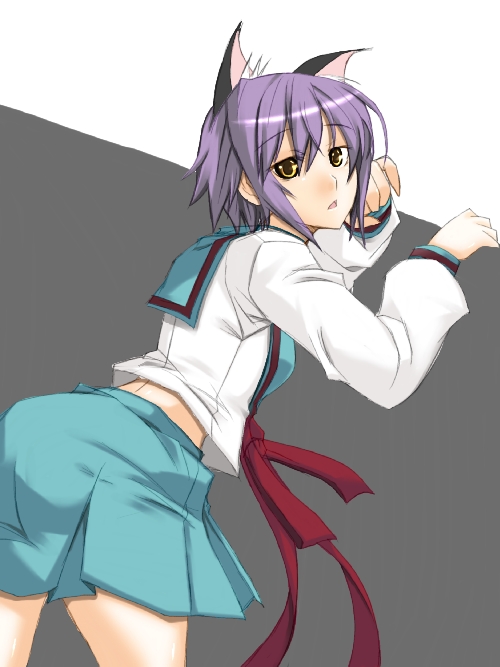 ribi, nagato yuki, suzumiya haruhi no yuuutsu, 00s, 1girl, animal ears, cat ears, female focus, school uniform, serafuku, simple background, solo