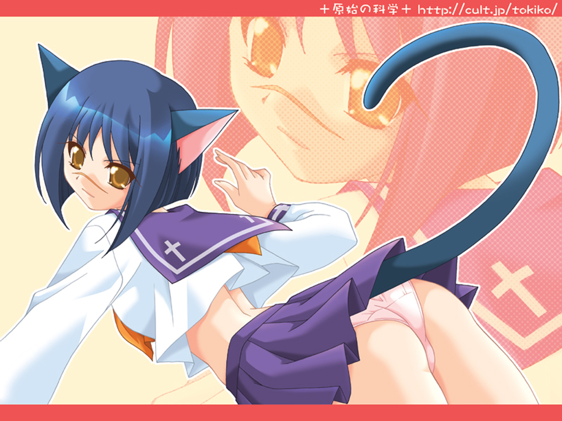 tsumura tokiko, busou renkin, 00s, animal ears, blue hair, cat ears, cat tail, panties, scar, school uniform, serafuku, tail, underwear, yellow eyes