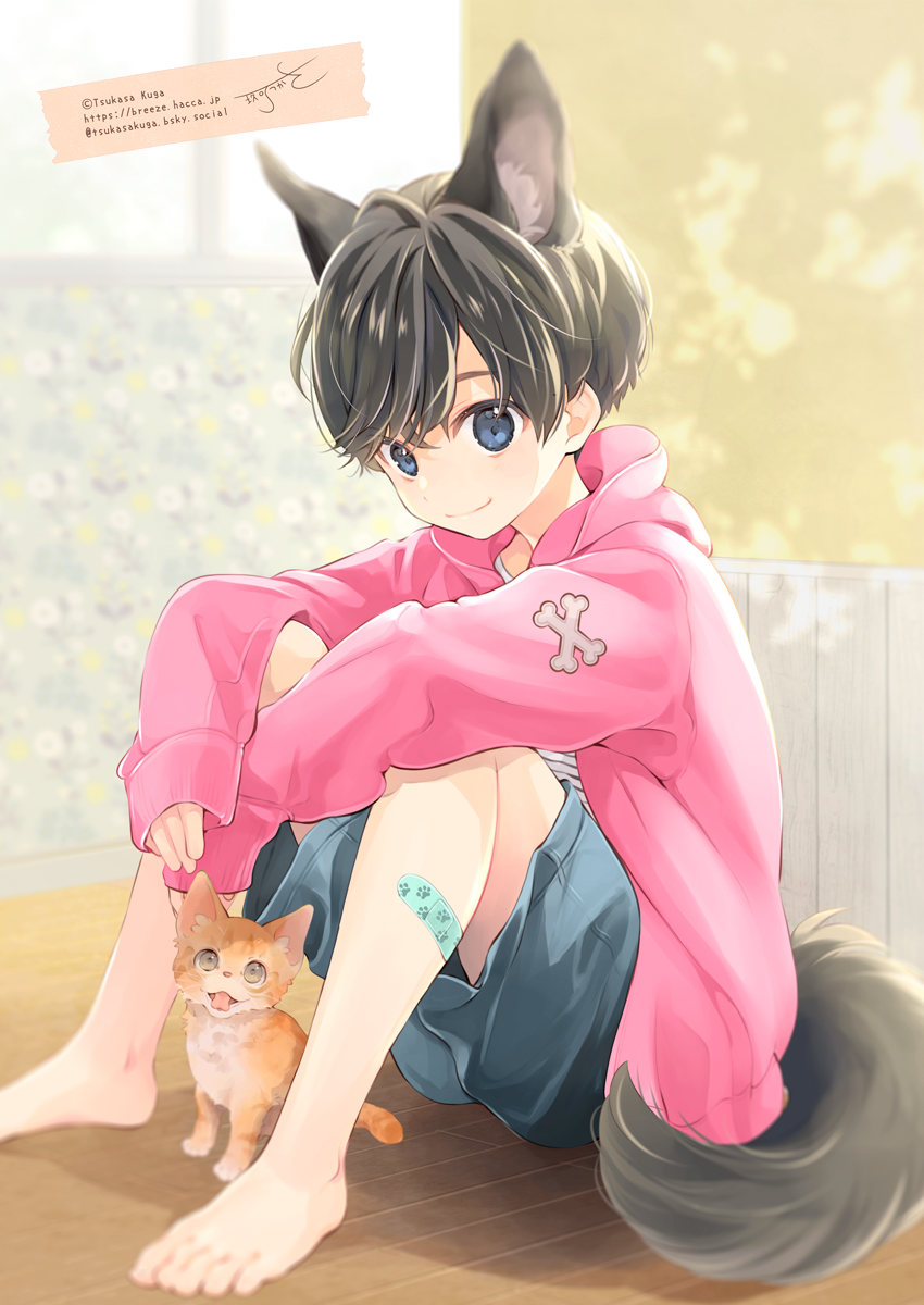 kuga tsukasa, original, commentary request, highres, 1boy, animal ear fluff, animal ears, bandaid, bandaid on leg, barefoot, black hair, blue eyes, cat, closed mouth, dog boy, dog ears, dog tail, eyebrows hidden by hair, grey shorts, hood, hood down, hooded jacket, jacket, knees up, long sleeves, looking at viewer, male focus, on floor, open clothes, open jacket, pink jacket, puffy long sleeves, puffy sleeves, shirt, shorts, signature, sitting, sleeves past wrists, smile, solo, striped clothes, striped shirt, tail, watermark, web address, wooden floor