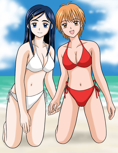 taishita, misumi nagisa, yukishiro honoka, futari wa precure, precure, 00s, blue eyes, blue hair, brown eyes, brown hair, swimsuit