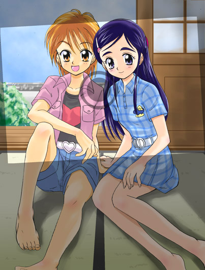 misumi nagisa, yukishiro honoka, futari wa precure, precure, 00s, blue eyes, blue hair, brown eyes, brown hair