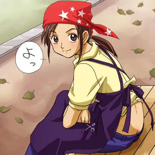 fujita akane, futari wa precure, precure, lowres, 00s, 1girl, apron, bandana, blush, brown eyes, brown hair, butt crack, female focus, leaf, looking at viewer, sitting, solo
