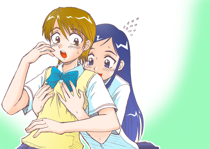 misumi nagisa, yukishiro honoka, futari wa precure, precure, 00s, blue eyes, blue hair, brown eyes, brown hair, school uniform, serafuku