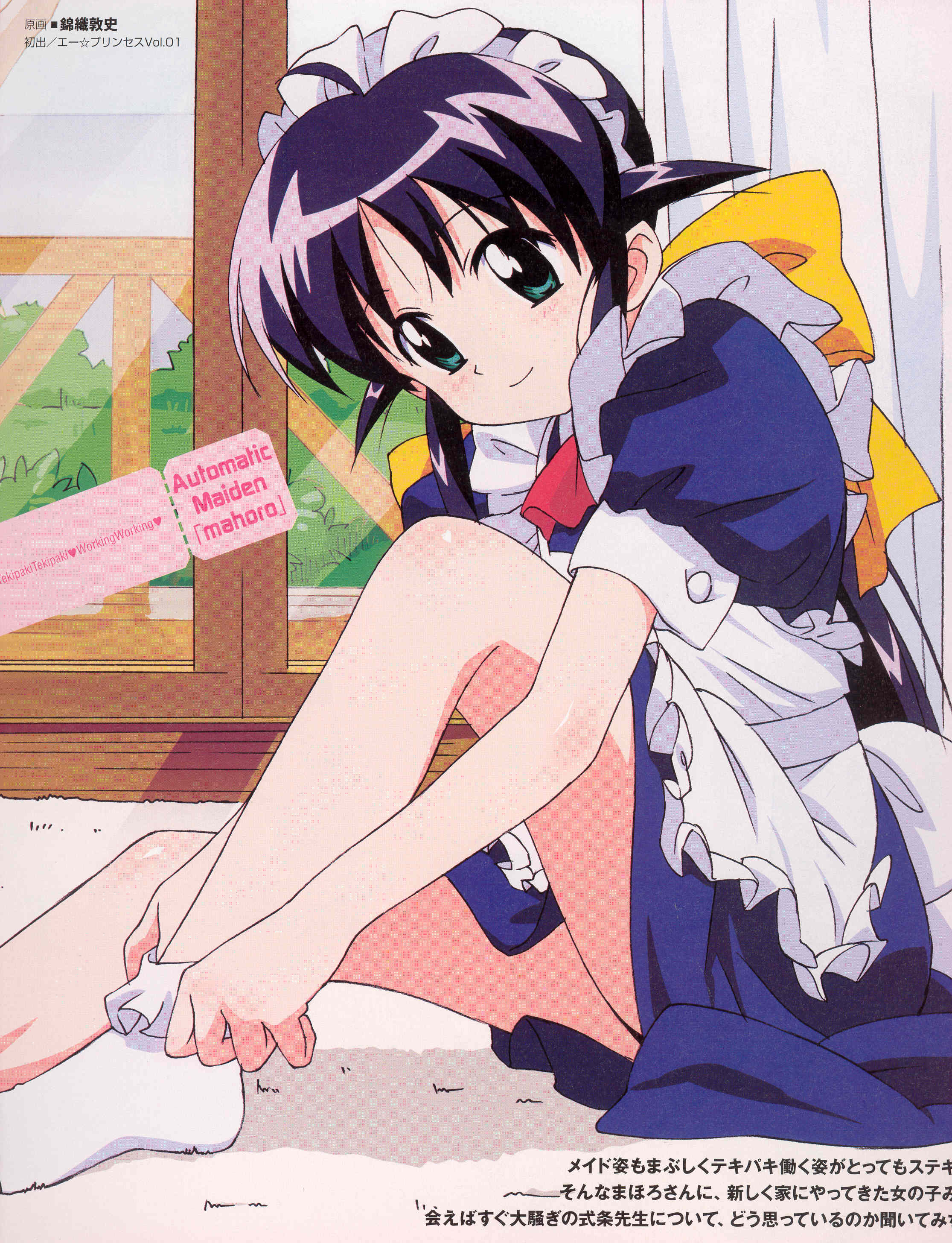 andou mahoro, mahoromatic, absurdres, highres, blue hair, green eyes, maid
