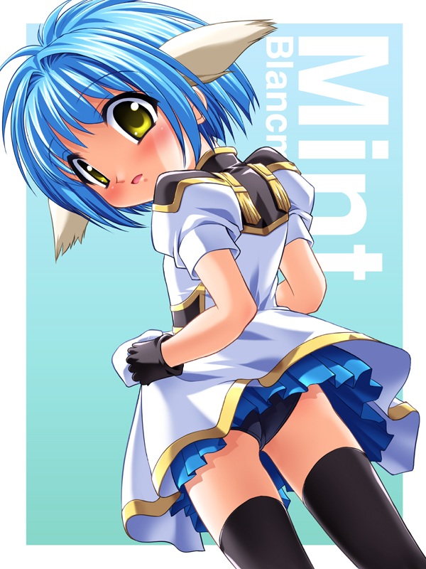 mint blancmanche, galaxy angel, 00s, 1girl, animal ears, blue hair, character name, female focus, gloves, green eyes, looking at viewer, looking back, panties, pantyshot, short hair, simple background, solo, thighhighs, underwear, yellow eyes, zettai ryouiki
