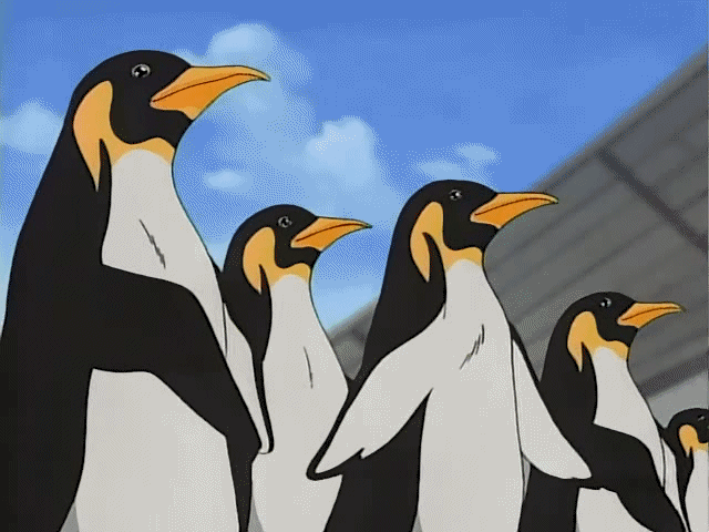 precure, animated, animated gif, bird, penguin