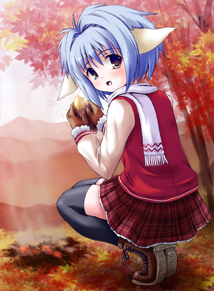 mint blancmanche, galaxy angel, 00s, 1girl, animal ears, blue hair, blush, female focus, gloves, green eyes, looking at viewer, looking back, miniskirt, outdoors, short hair, skirt, smile, solo, squatting, thighhighs, tree, yellow eyes, zettai ryouiki