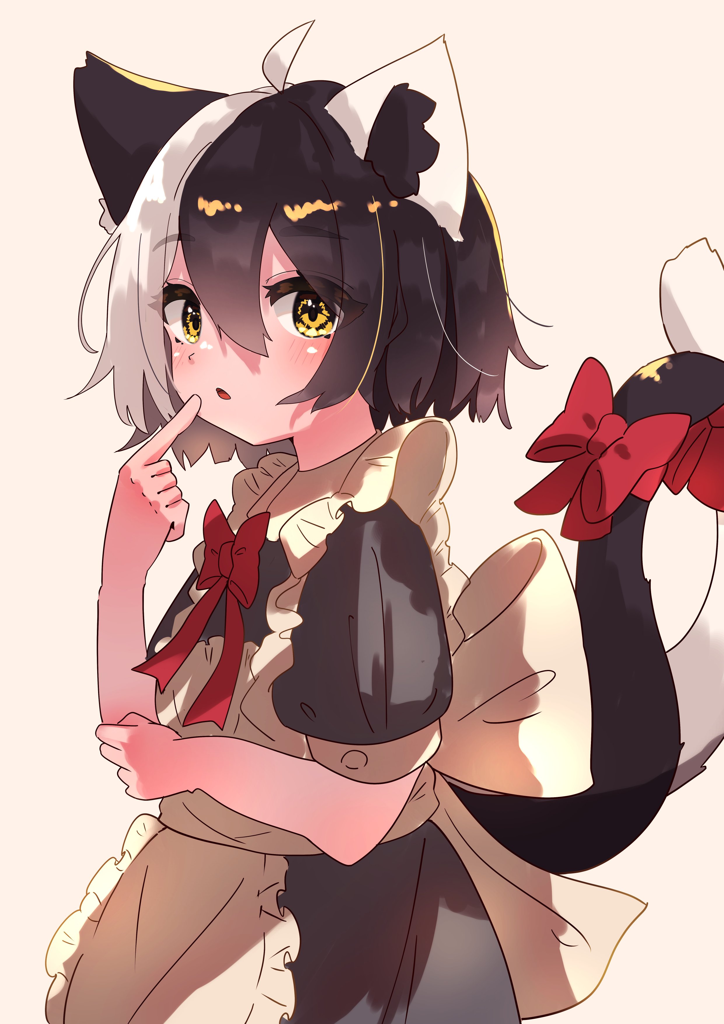 kotatsune, original, absurdres, highres, 1girl, animal ears, apron, black hair, cat ears, cat girl, cat tail, looking at viewer, maid, maid apron, multicolored hair, multiple tails, pointing, pointing at self, puffy short sleeves, puffy sleeves, short hair, short sleeves, simple background, tail, two-tone hair, two tails, white background, white hair, yellow eyes