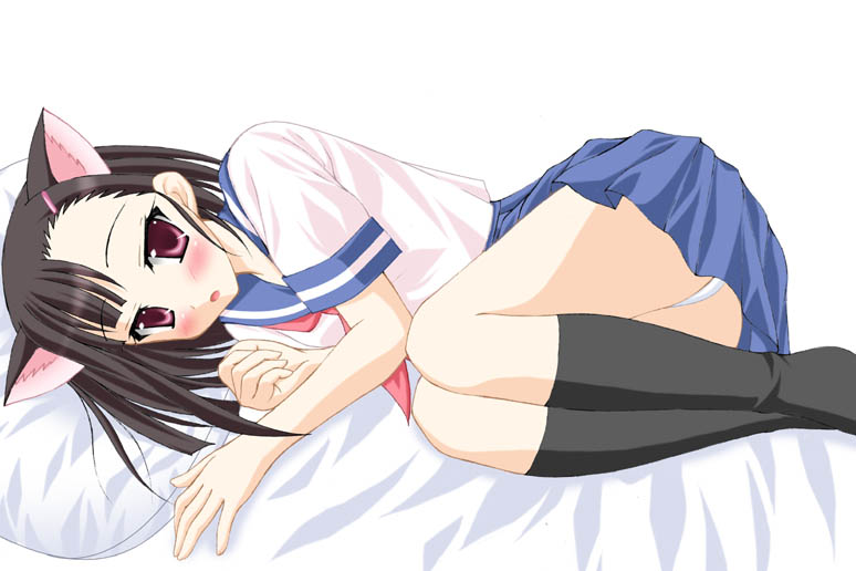 sakurazaki setsuna, mahou sensei negima!, 00s, animal ears, cat ears, panties, school uniform, serafuku, socks, underwear