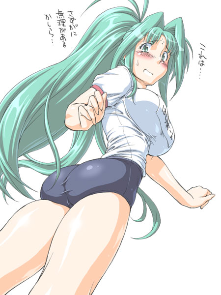 jon shicchiou, lindy harlaown, lyrical nanoha, mahou shoujo lyrical nanoha, mahou shoujo lyrical nanoha strikers, translated, 00s, 1girl, ass, blush, breasts, buruma, facial mark, female focus, forehead mark, green eyes, green hair, gym uniform, large breasts, long hair, matching hair/eyes, ponytail, solo, sweatdrop, text focus