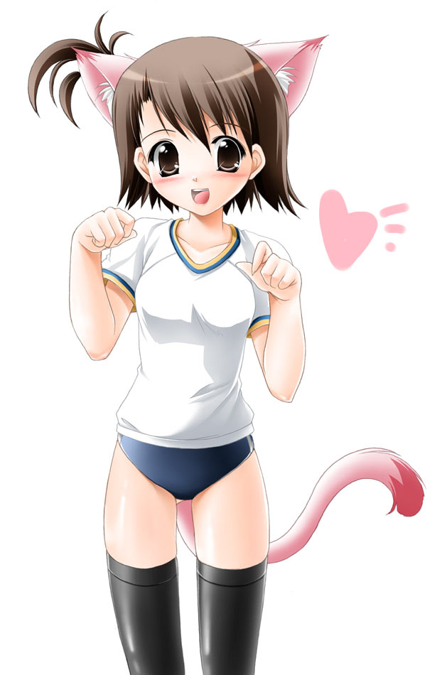 kamiya tomoe, futami ami, idolmaster, idolmaster (classic), idolmaster 1, 00s, 1girl, animal ears, buruma, cat ears, cat tail, female focus, gym uniform, solo, tail, thighhighs