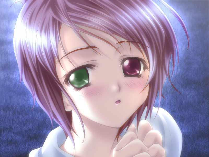 souseiseki, rozen maiden, tagme, 00s
