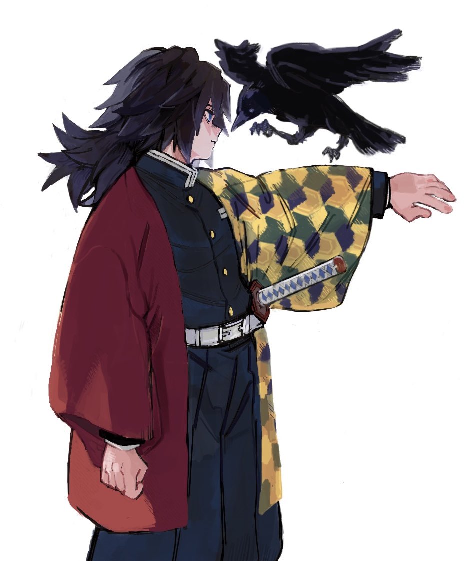 kanzaburou (kimetsu no yaiba), tomioka giyuu, kimetsu no yaiba, 1boy, belt, bird, black hair, black jacket, black pants, blue eyes, buttons, crow, demon slayer uniform, haori, jacket, japanese clothes, katana, low ponytail, male focus, outstretched arm, pants, ponytail, print haori, profile, puffy pants, red haori, simple background, solo, spiked hair, standing, sword, toka rie, weapon, white background, white belt
