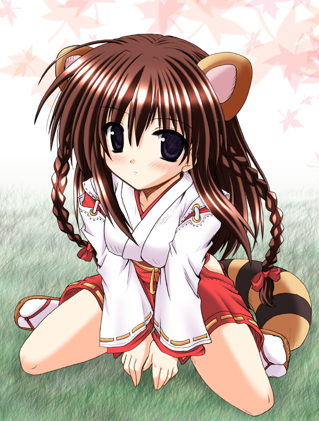 artist request, character request, copyright request, tagme, 1girl, female focus, japanese clothes, miko, solo