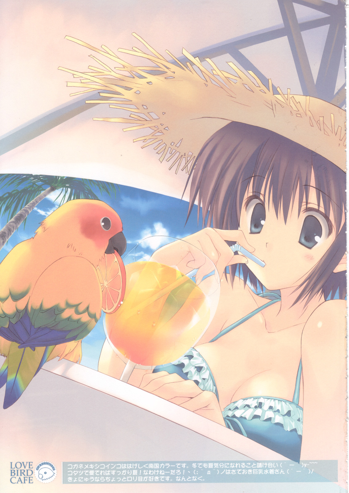 mitsumi misato, highres, 1girl, beach, bird, breasts, cleavage, day, drink, female focus, hat, medium breasts, parrot, solo, straw hat, umbrella