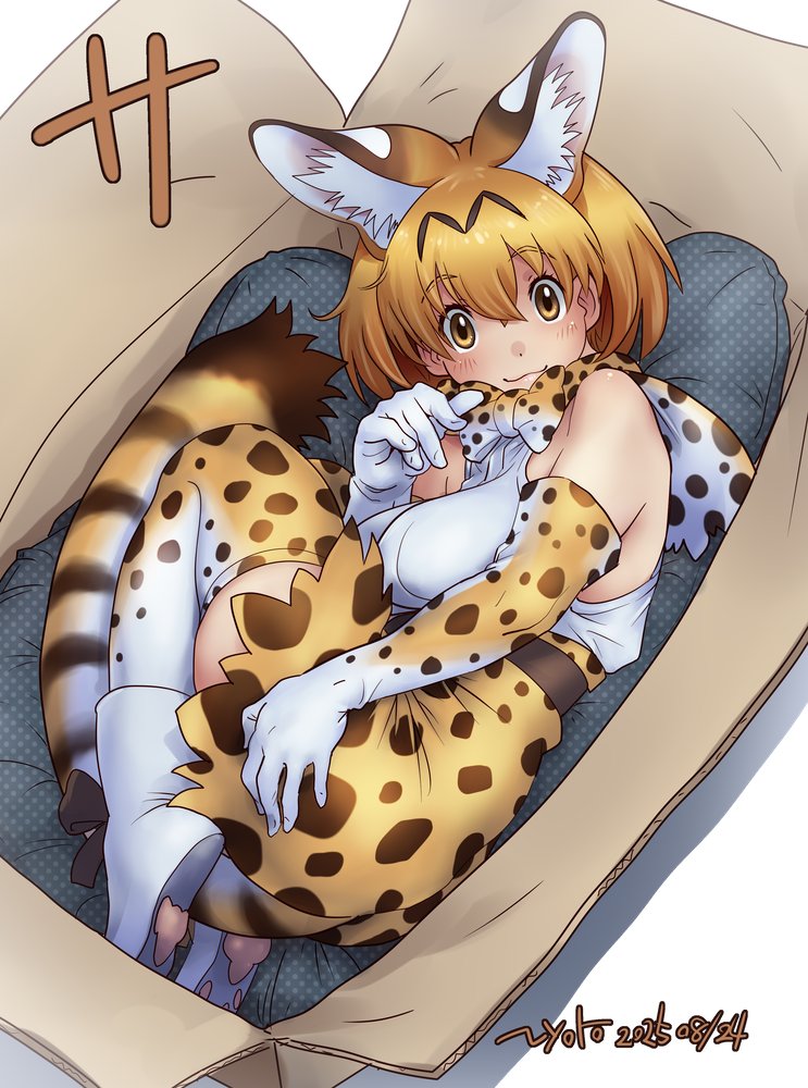 nyororiso (muyaa), serval (kemono friends), kemono friends, :3, animal ears, animal print, bare shoulders, blonde hair, blush, boots, bow, bowtie, box, cat ears, cat girl, cat print, cat tail, curled up, elbow gloves, extra ears, frilled skirt, frills, gloves, hair between eyes, high-waist skirt, in box, in container, looking at viewer, paw print soles, print bow, print bowtie, print gloves, print skirt, print thighhighs, shirt, short hair, sidelocks, skirt, sleeveless, tail, thighhighs, white boots, white bow, white bowtie, white gloves, white shirt, white thighhighs, yellow bow, yellow bowtie, yellow eyes, yellow gloves, yellow skirt, yellow thighhighs, zettai ryouiki